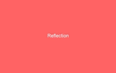 Reflection