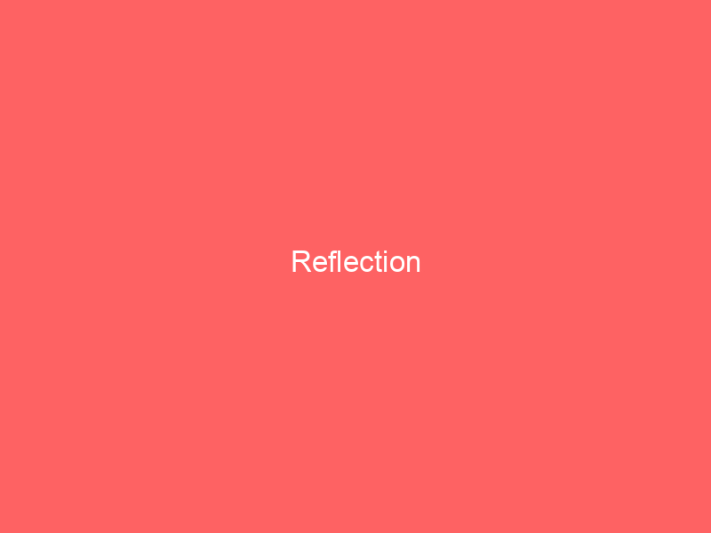 Reflection