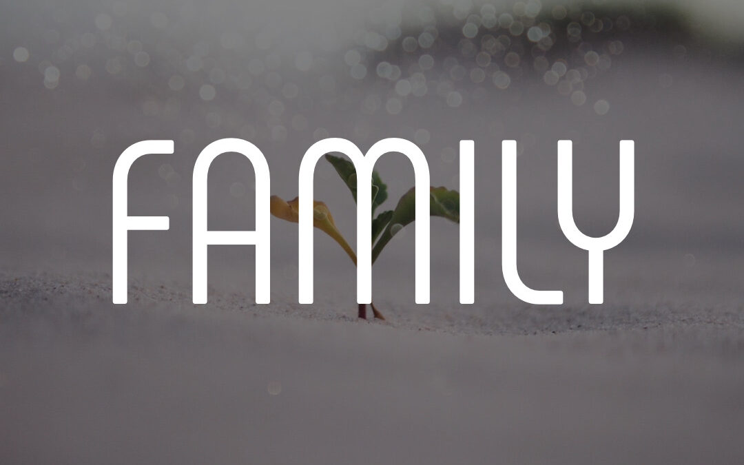 How do we expand the meaning of family so that no child of God is left outside?