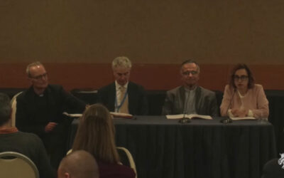 CEI press conference: dialogue, women and LGBT
